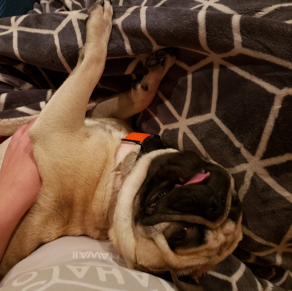 Meet your Posher, Meghan